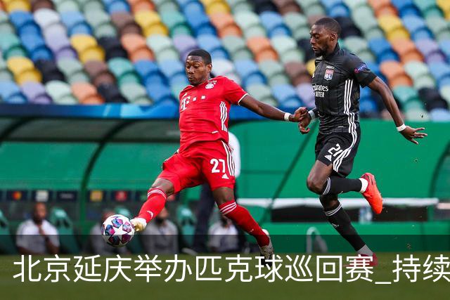 北京延庆举办匹克球巡回赛 持续擦亮户外运动城市名片